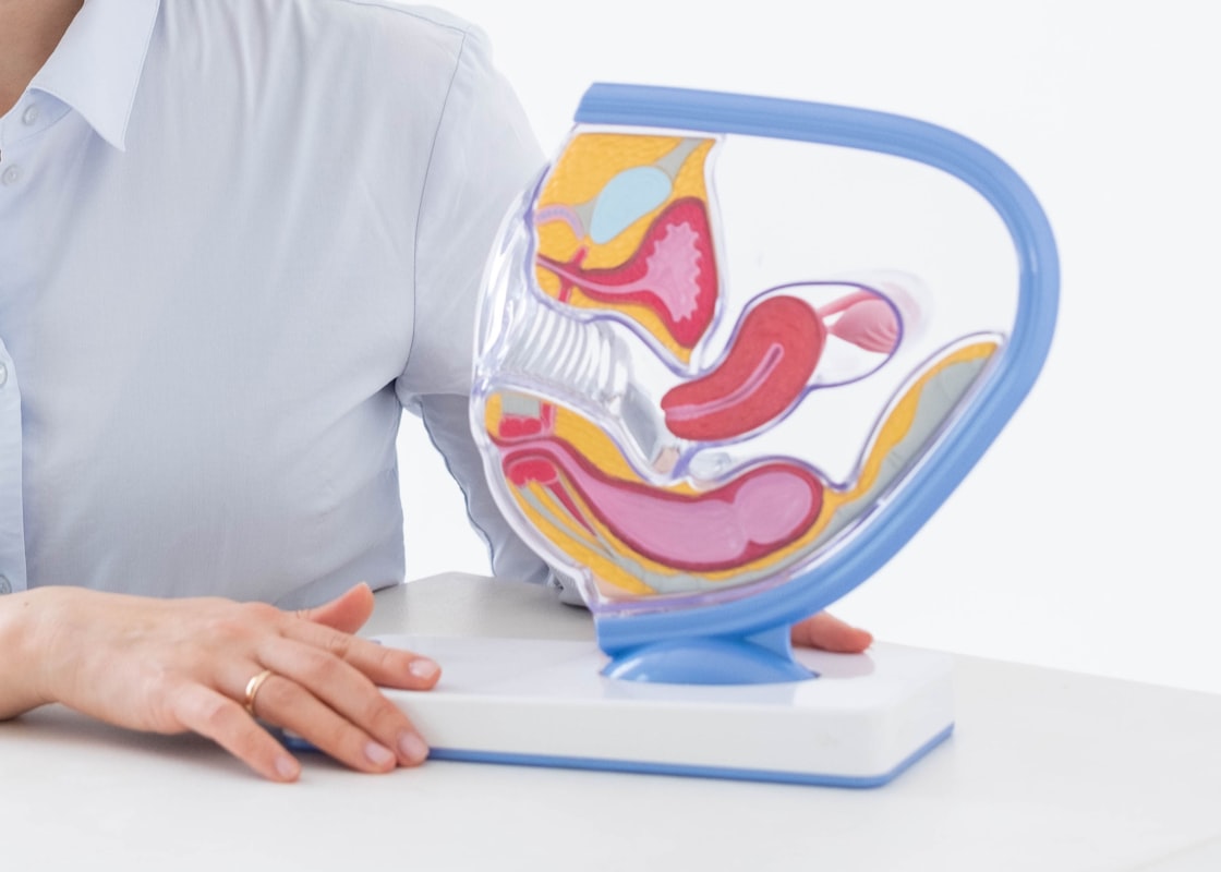 Age and Urological Changes